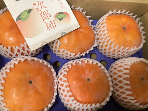 【12月上旬発送】幻の柿 次郎柿！木成り完熟の逸品６個入り（1.5ｋｇ）