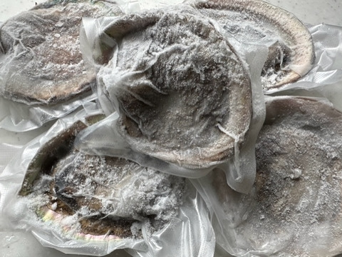 素潜り漁師直送！伊豆の美味しい　アワビ　鮑　あわび -本日の１点物　アワビ　鮑　-60度急速冷凍　５枚で １２９８g（傷物、訳あり品）品番エ