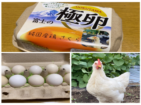 【食べくらべ🉐パック②】純国産鶏4種40個　青空のびのび飼育《富士の極卵》