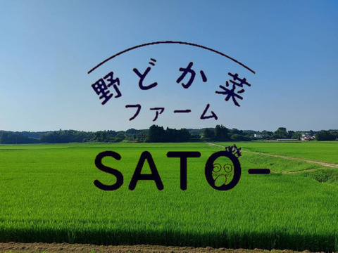 コリコリ食感！宮城発☆山元のきくらげ 乾燥40g☆保存に最適☆