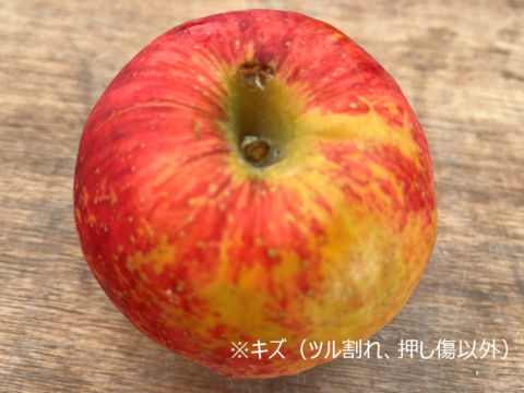 【訳あり】【希少種】【蔵出し奥州ロマン】（2kg・10個入り）パリ甘・ジューシーお得な家庭用