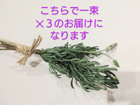 ラベンダーの束（5本✕３）を香りとともに🌿計15本  ハーブ🌿◆スワッグ作りに ◆ドライフラワーに ◆品種「デンタータ」(フリンジドラベンダー)🏣ゆうパック60サイズ