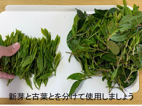 【自宅でＭｙ緑茶】有機生茶で緑茶を作ろう！フライパン1つで自分好みの緑茶が作れる！６００ｇ／セット！