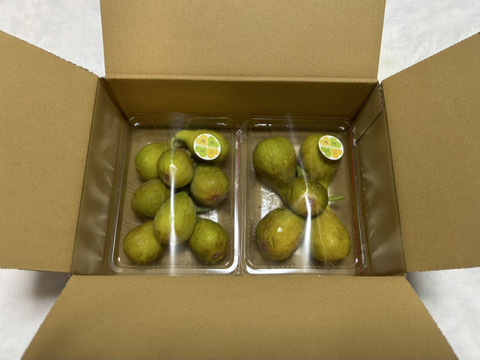 バナーネ　白いちじく　露地栽培　化学肥料農薬不使用　予約販売　順次配送