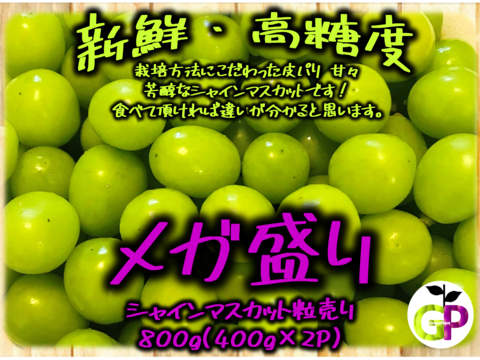 皮パリ甘々‼️ シャインマスカット粒売り『メガ盛り』800g(400g×2P)　朝採り新鮮！！