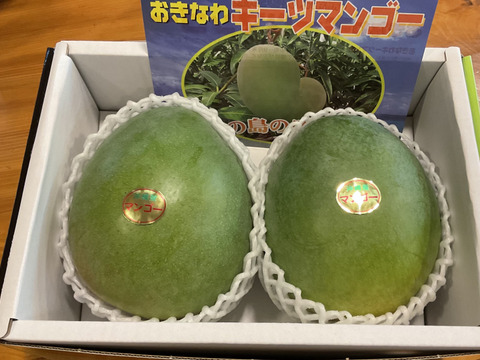 『贈答用』果肉たっぷり！キーツマンゴー2玉（1.5Kg前後）