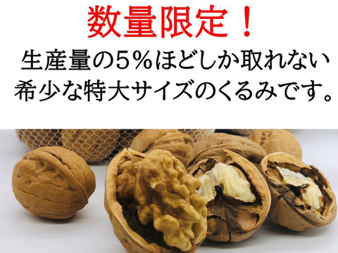 大不作により入荷予定無し バターの実 国産くるみ 殻を割って楽しむ 最高品種の信濃くるみ キングサイズ １kg 殻付き ナッツ 長野県産の野菜 食べチョク 産地直送 産直 お取り寄せ通販 農家 漁師から旬の食材を直送