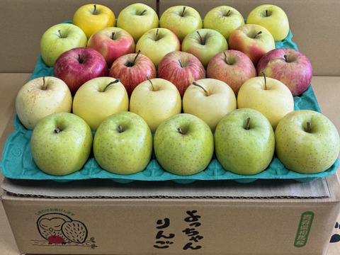 オールスター小玉🍎🍏💛💚家庭用約4.5Kg　サンふじ　王林　シナノゴールド　ぐんま名月　金星　青森県産　数量限定　おうりん　ぐんまめいげつ　きんせい