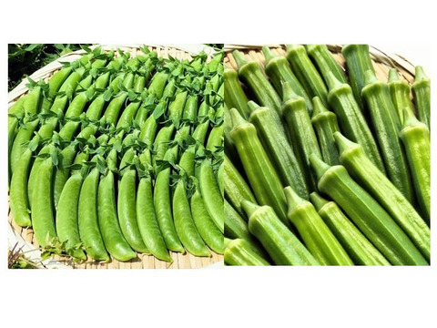 スナップエンドウ/オクラのセット（約2kg/約1kg）