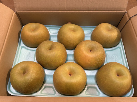 シャキっと！爽やかでみずみずしい幸水梨（3kg）ちょっと訳あり