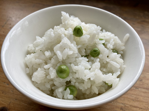 【自然栽培🍀朝採り鞘付きグリーンピース500g】とうもろこしの様な甘さにビックリ！自家採種10年以上・豆ごはんがおすすめ😋