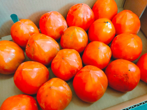 【11/29終了・早い者勝ち！】干し柿に最適！ずっしり甲州百目柿【約10㎏・渋柿】