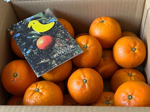 甘うま溢れる！奄美たんかん（5kg・ご家庭用）