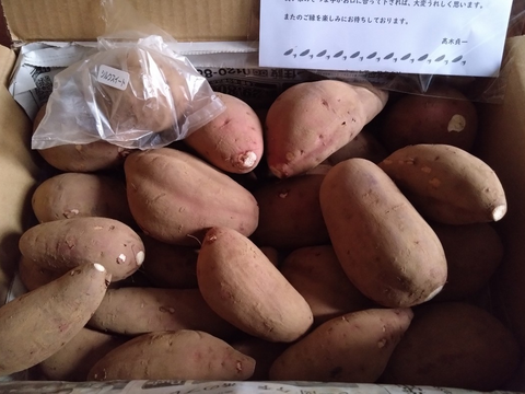 ねっとり系代表❣️千葉県香取市産　S・M
さつまいも極甘！ 【紅はるか】4.8kg