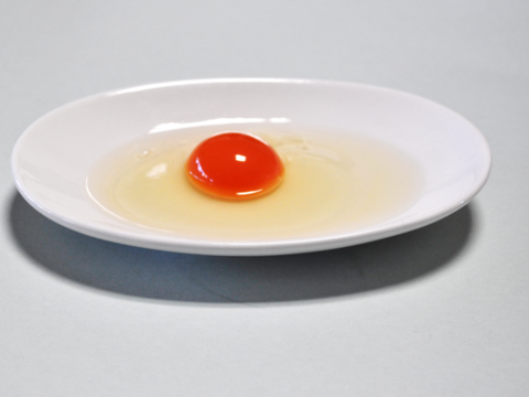 烏骨鶏【20個入り】　濃厚な黄身！爽やかな白身が自慢！【烏骨鶏輝翔卵】