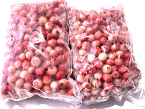 【加工用】冷凍ブルーベリー （フロリダローズ）2kg（1kg × 2袋）【ピンク色で完熟する希少品種】