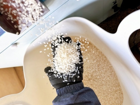 自家生産でこだわりあり！岐阜 ハツシモ　令和7年産  30キロ　玄米🌾