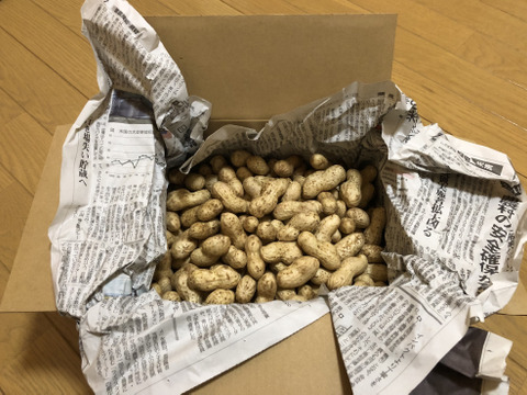 落花生　おおまさり　2ｋｇ 農薬化学肥料不使用栽培