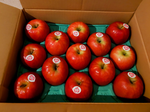 キュンとくる酸味りんご❗　ピンクレディー®（12個から16個）箱含め3キロ