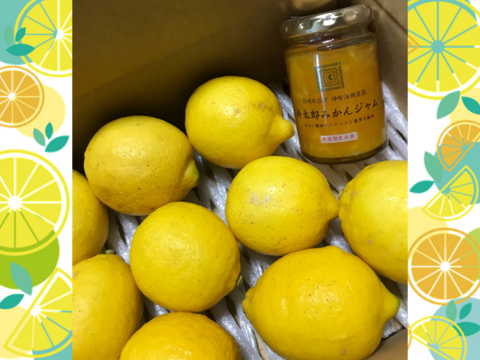 【数量限定】紀ノ国屋×仲屋コラボ商品「寿太郎みかんジャム」& 西浦れもん1.5キロ（防腐剤・ワックス不使用） 詰め合せ 【仲屋 海瀬農園】