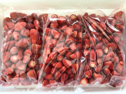 【いちご農家直送】冷凍いちご5kg 小分け500g×10袋｜ジャム用・スムージー用・かき氷・いちごミルクに最適