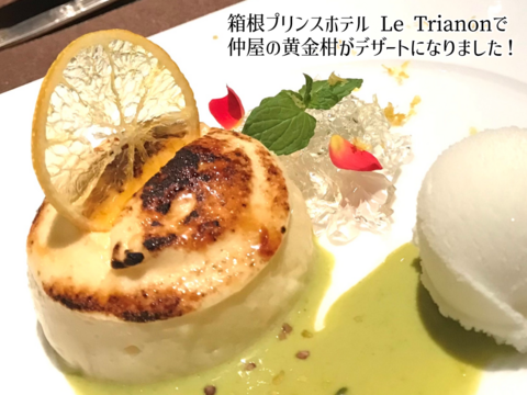 【ちょっと傷がありますが…】奇跡の果実！ 黄金柑 3kg 《おまけの国産レモン付》あふれる果汁とさわやかな甘み ゴールデンオレンジ 黄蜜柑 仲屋 海瀬農園