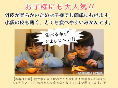 12/20より順次発送 幻のみかん『石地（いしじ）サイズ混合 5kg』 希少品種 5キロ 仲屋 海瀬農園 静岡県 西浦みかん