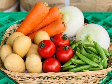 お買い得！はるみみかん🍊1.5ｋｇと採りたて野菜（5品）セット！本州の方限定