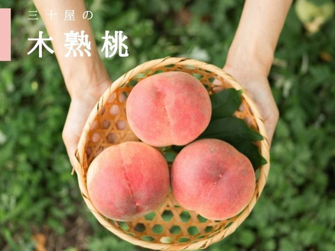 【７月下旬】山梨市からお届け「三十屋」の木熟桃（3kg 大玉8～9個）