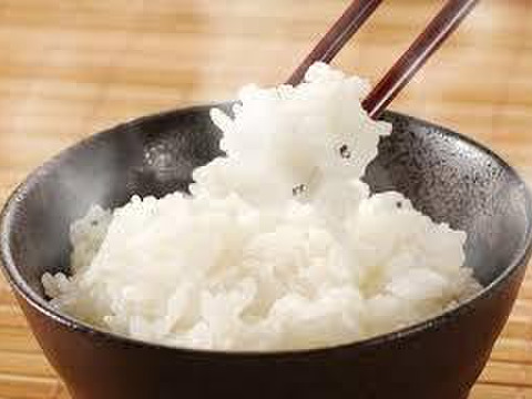 ふっくら美味しい！【特別栽培米】”クロレラ米米”3kg+自家製米粉(300g)