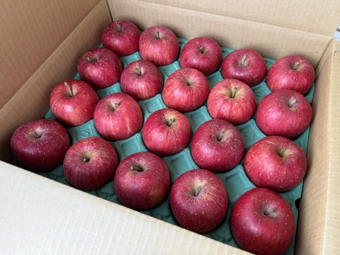 台湾でも高評価！【岩手・紫波長岡果樹園】🍎いわて産特別栽培「サンふじ」5kg（家庭用20玉）
