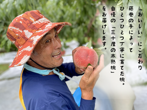 【8月下旬 100個限定】山梨市からお届け「三十屋」の木熟桃（1.5kg 大玉5個）