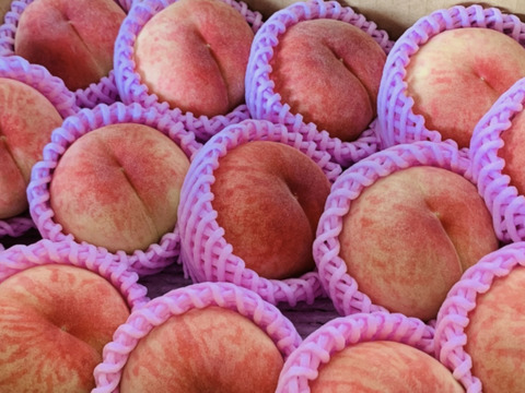 山形県産白桃　あかつき【小玉2キロ】