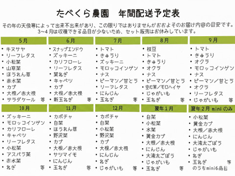 信州四賀より里山の旬野菜セット　7～8品目【S】