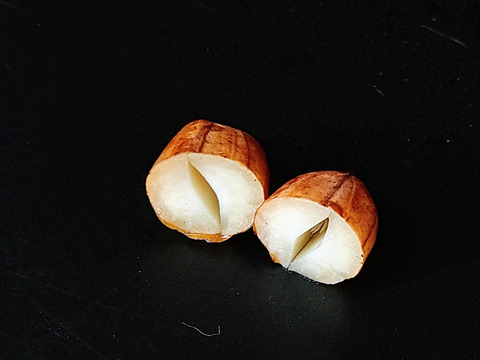 茹でておいしい。味のよい半立系の生落花生です。自然栽培の生落花生１kg　化学肥料・動物由来の肥料、農薬も除草剤も不使用です。
ちょっと小粒です。泥付きなので、洗ってから調理を！