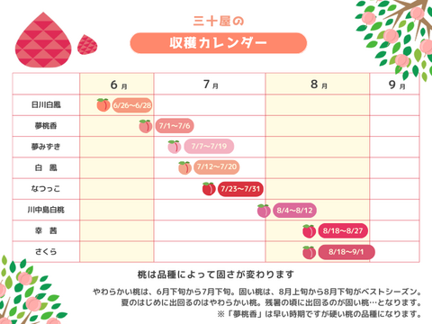 【７月下旬 】山梨市からお届け「三十屋」の木熟桃（2kg 大玉5～6個）