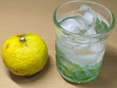 良い香りのゆず/ fragrant Citron (10個) 農薬化学肥料不使用！！