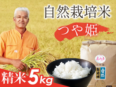 【 白米・５kg 】米の旨味たっぷり 自然栽培米 つや姫