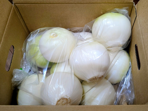 ‼️白剥き玉ねぎ2.5kgお買い得‼️淡路島玉ねぎ白剥き‼️主婦の味方❗️生ゴミ無し❗️即使える❗️特別栽培農産物　シャーロットオニオン