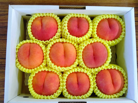 希少品種が入るかも！【品種おまかせ🍑黄桃】秀品2kg ※8～10月発送