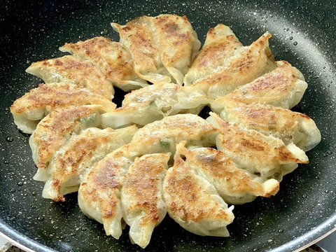 うまかばい☆博多アカモク餃子18個入り×5【ファミリーセット】