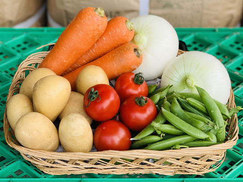 イチジク2パック&採りたて野菜5品セット（本州の方限定）