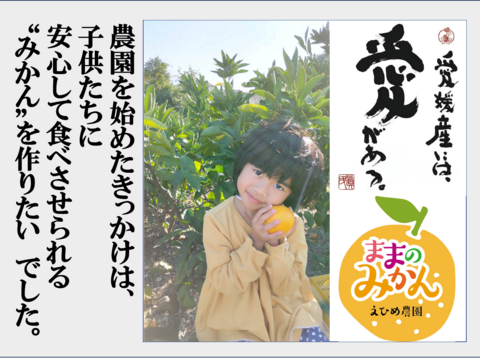 大特価！豊作につき　はれひめ【訳あり】愛媛県産　希少品種の“はれひめ”　サイズ不揃い　３キロ