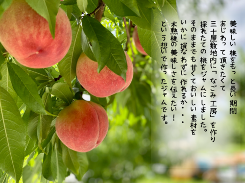 【三十屋の桃畑から産まれた桃ジャム】桃農家の手作り桃ジャム　110ｇ2個セット（化粧箱入り）