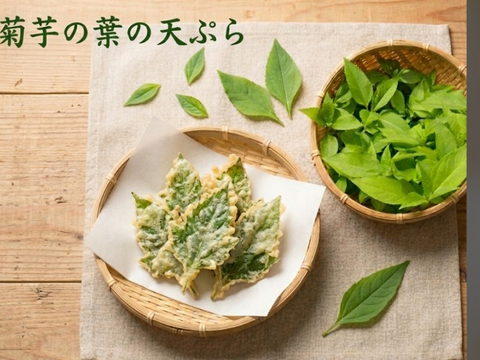 菊芋の生葉🌿農薬、除草剤、動物性肥料等不使用☆キクイモの葉🌿30枚🌿おひたしや菊芋茶作りなどに☆ゆうパックにてお届け🏣