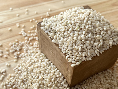 農薬化学肥料不使用『もちひかり』玄米３kg令和７年産　信州佐久穂町