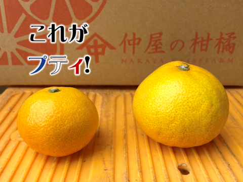 みかん みかん 三ヶ日みかん 良 3L〜Sサイズ 2.5kg 静岡県産 JAみっかび