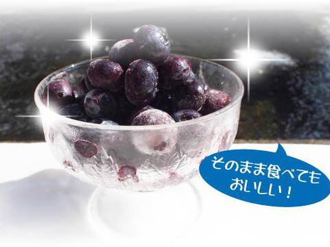 熊本産丸ごと大粒冷凍ブルーベリー2キロ