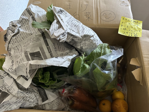 本当にな～んにもしない🍅【数量限定❗❗】子供に食べさせたい野菜（５品目～７品目）😋🍙ばぁばのモノスゴイ野菜🍅🍆🌽✨✨✨✨✨