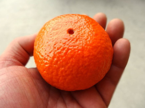 【柑橘食べ比べ】甘～いみかん！お手頃価格で食べきりサイズ！旬のこだわり柑橘をまるごと楽しむ！４～５種類入り！何の品種が入っているか「お楽しみかん」 ご家庭用　約2kg入【商品番号999】